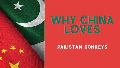 Why China loves Pakistani Donkeys?