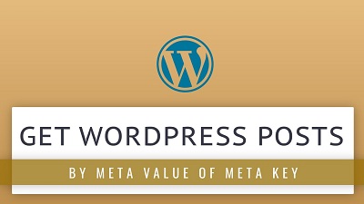 Get posts by meta key and meta value in WordPress